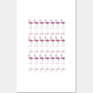 Flamingo Pattern Design Posters and Art